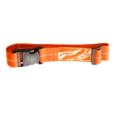 eagle creek luggage strap